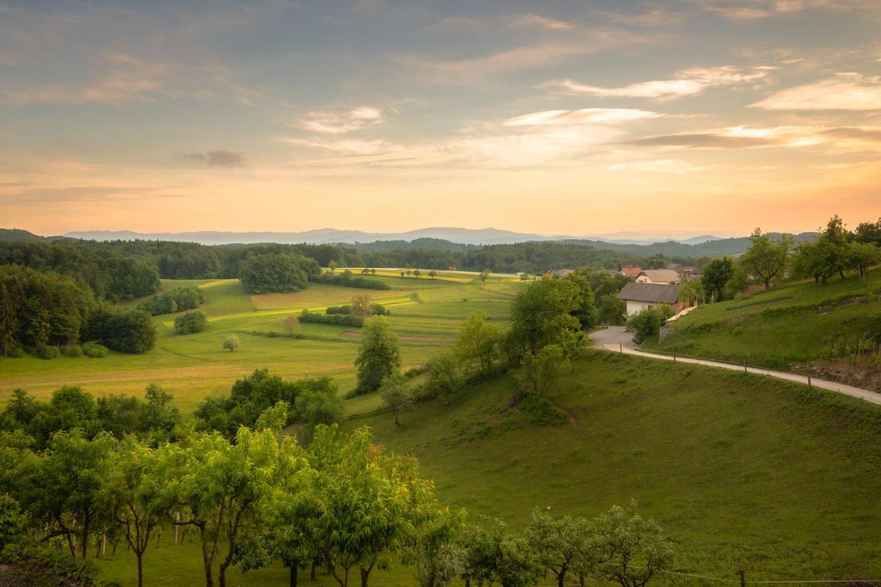 Vineyard Cottage Krivic Trebelno المظهر الخارجي الصورة