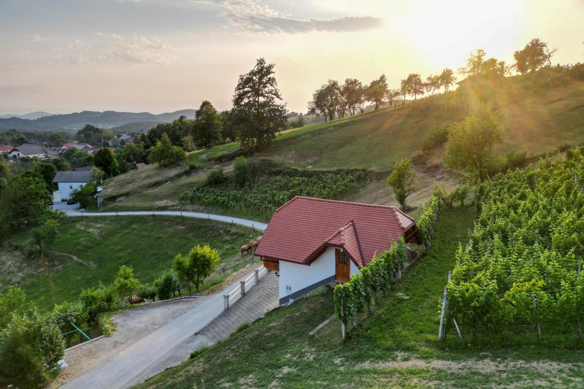 Vineyard Cottage Krivic Trebelno المظهر الخارجي الصورة